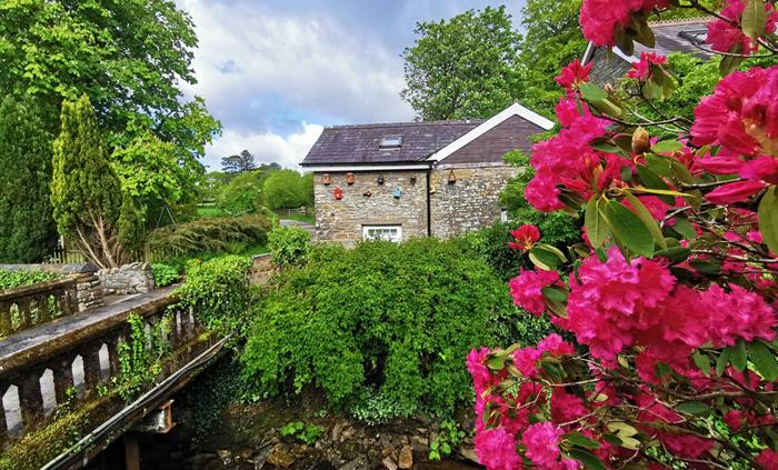 Pink rhododendrons in full bloom beside a riverside cottage surrounded by trees.